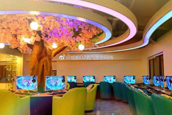 走进无锡茶道工作室，微信关注解锁茶艺秘籍，感受茶道生活的雅致韵味！